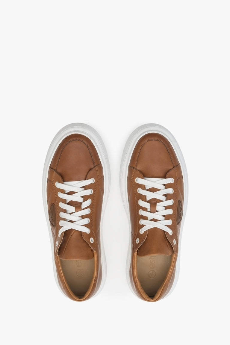 Men's brown sneakers made of genuine leather for fall - presentation of the footwear from above.