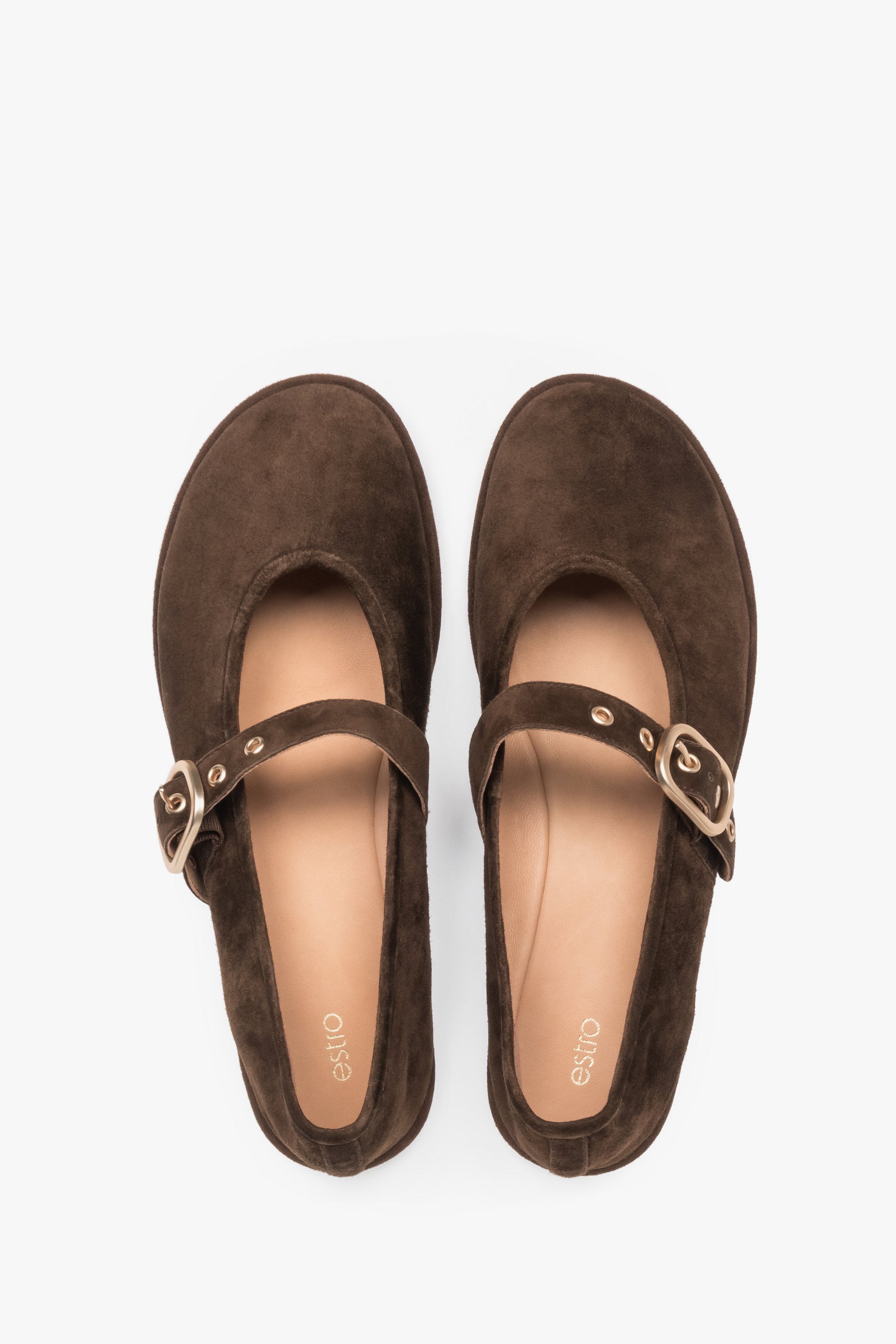 Women's Dark Brown Velour Ballet Flats with a Gold Buckle Estro ER00119875.