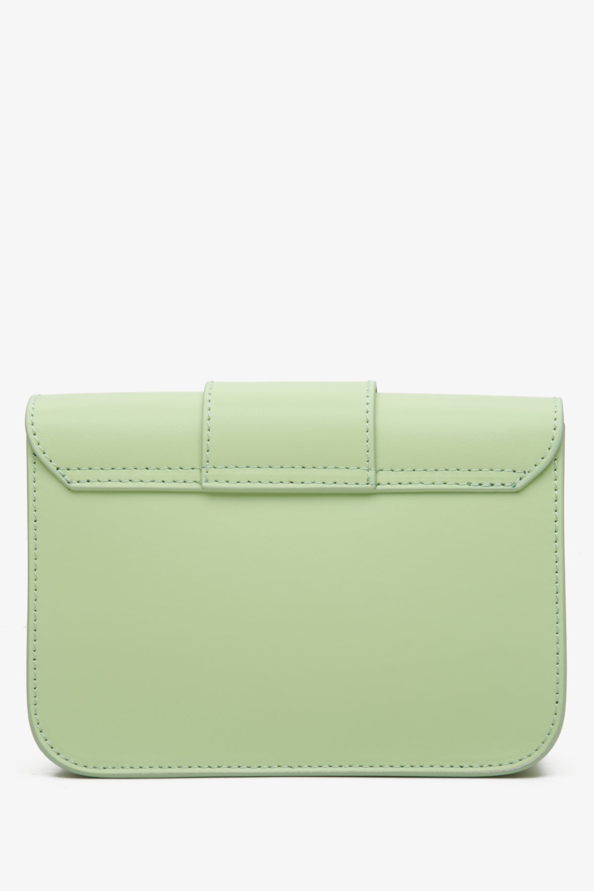 Women's Estro leather bag in green color - back view.